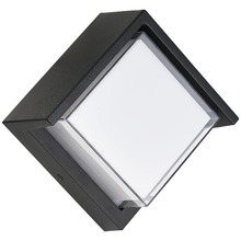 Roach LED Outdoor Wall Light